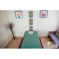 Masaje a elegir 90 minutos (thai, aceite relajante, pies o plumas)